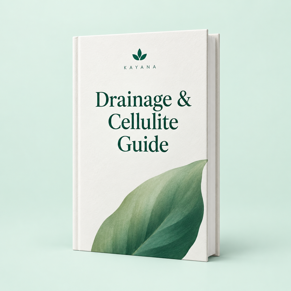 Ebook – Drainage & Cellulite Guide